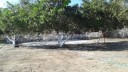 20150712_084554
