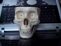 cranio-falso-encontrado-na-residencia-322242