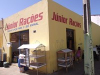 DSCF4397