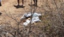 casal-morre-em-acidente-em-campo-maior-336560