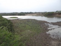 DSCF8413