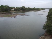 DSCF8416