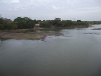 DSCF8418
