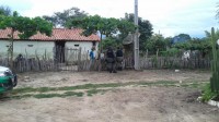 viatura e policia