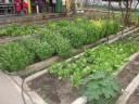 DSCF0589
