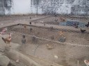 DSCF0628