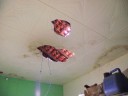 DSCF0638