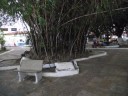 DSCF1067