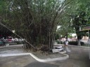DSCF1073