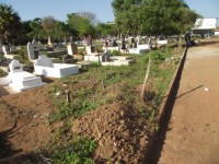 DSCF1408