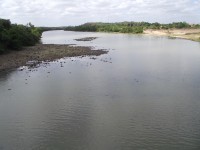 DSCF2011