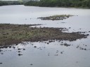 DSCF2012